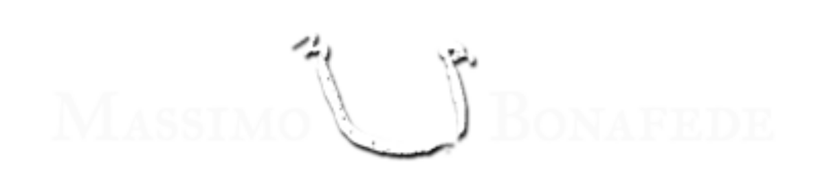 Massimo Bonafede logo